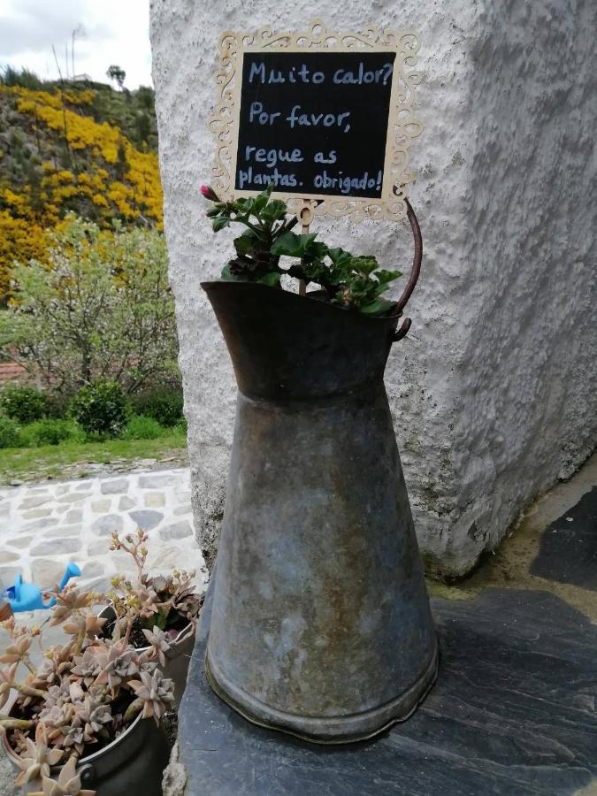 Casa Do Alto - Benfeita B&B 외부 사진